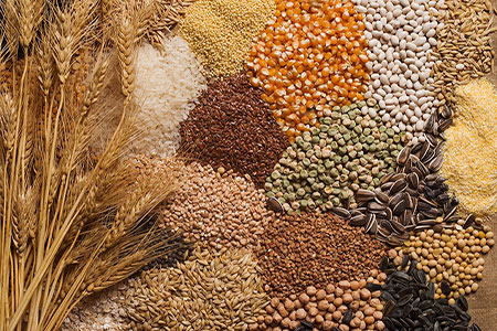 GRAINS INDUSTRY: THE CURRENT OVERVIEW