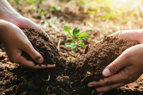 TOP ORGANISATIONS TO HOST SOIL CONSERVATION AND FARM RESILIENCE FIELD DAY